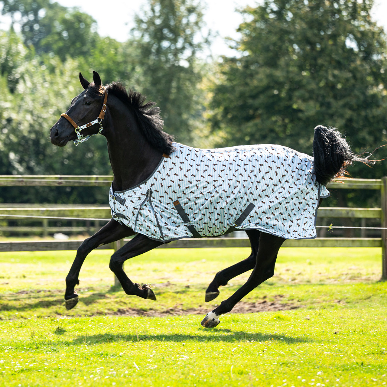 Stable Buddy Dachshund Print Fly Rug