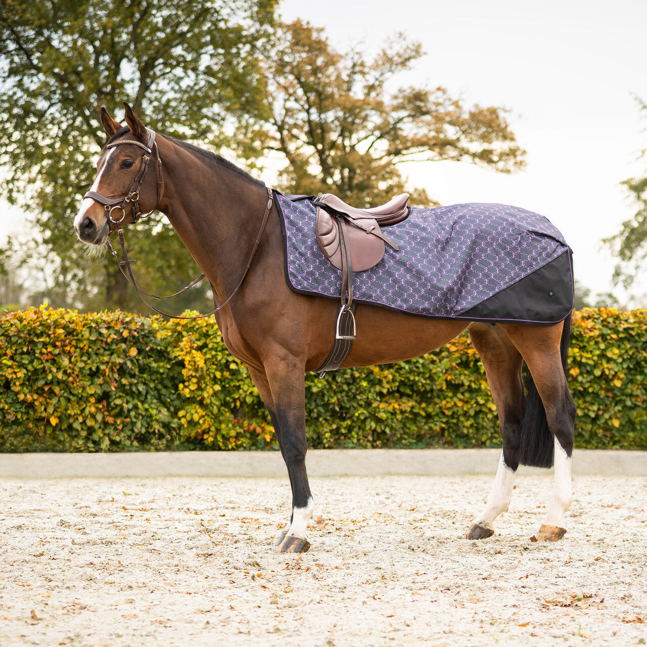 Exercise Sheet 1200D Turnout Collection Fleece