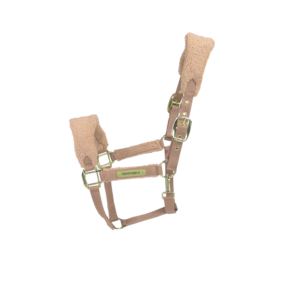 Kentucky Teddy Fleece Head Collar