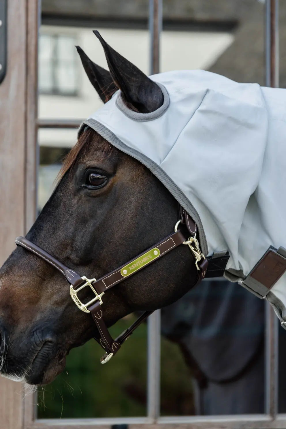 Kentucky Eczema Sweet Itch Rug