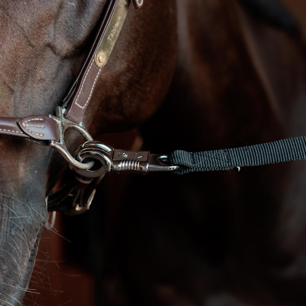 Kentucky Horse Box Lead & Cross Ties Safety