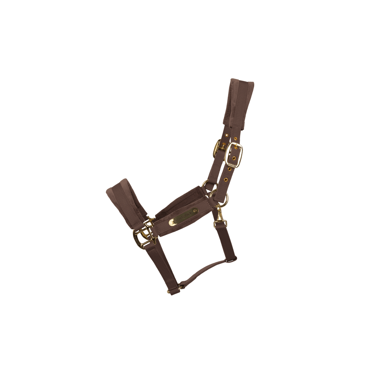 Kentucky Velvet Head Collar