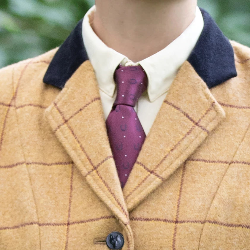 Horseshoes Show Tie - Adult