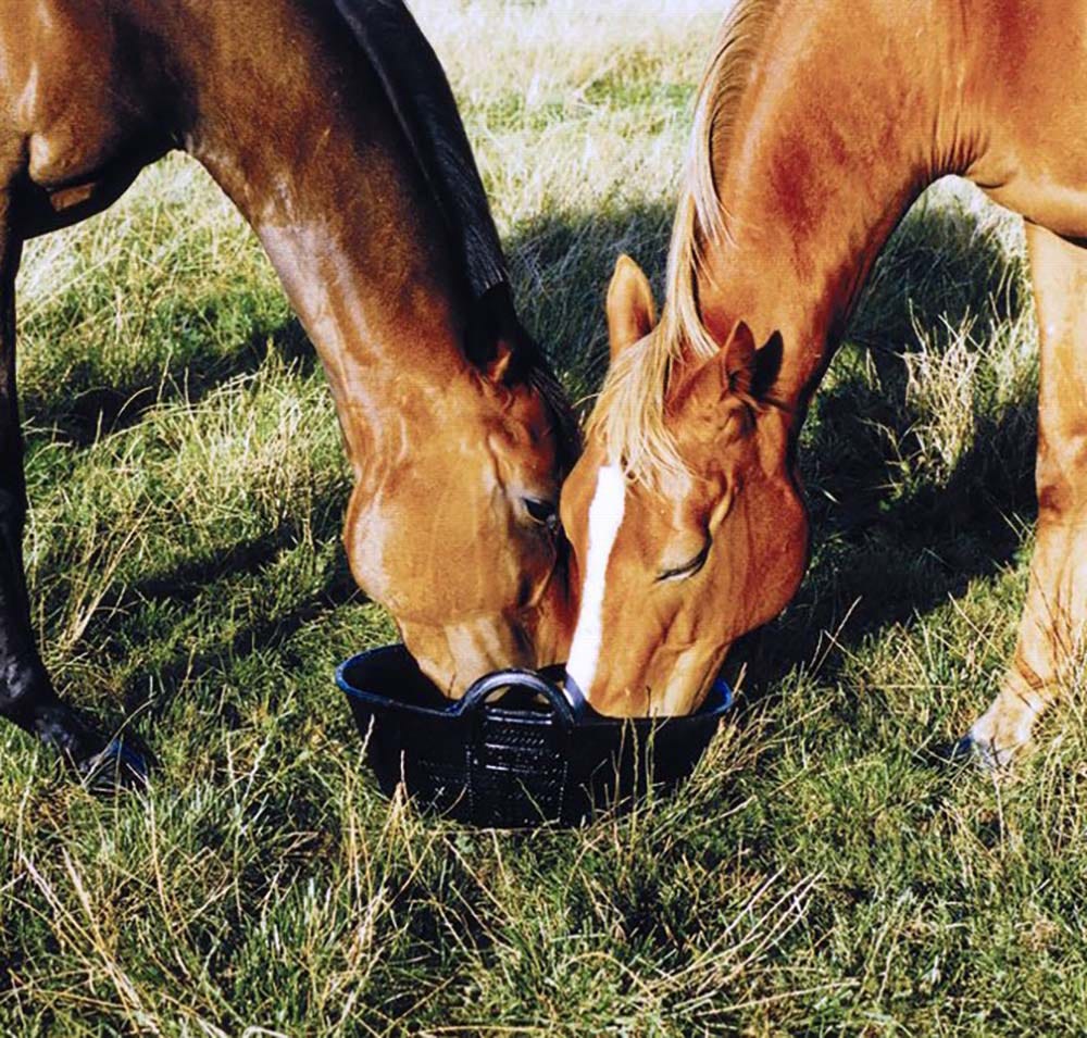 Tyre Rubber 20 Litre Large Skip