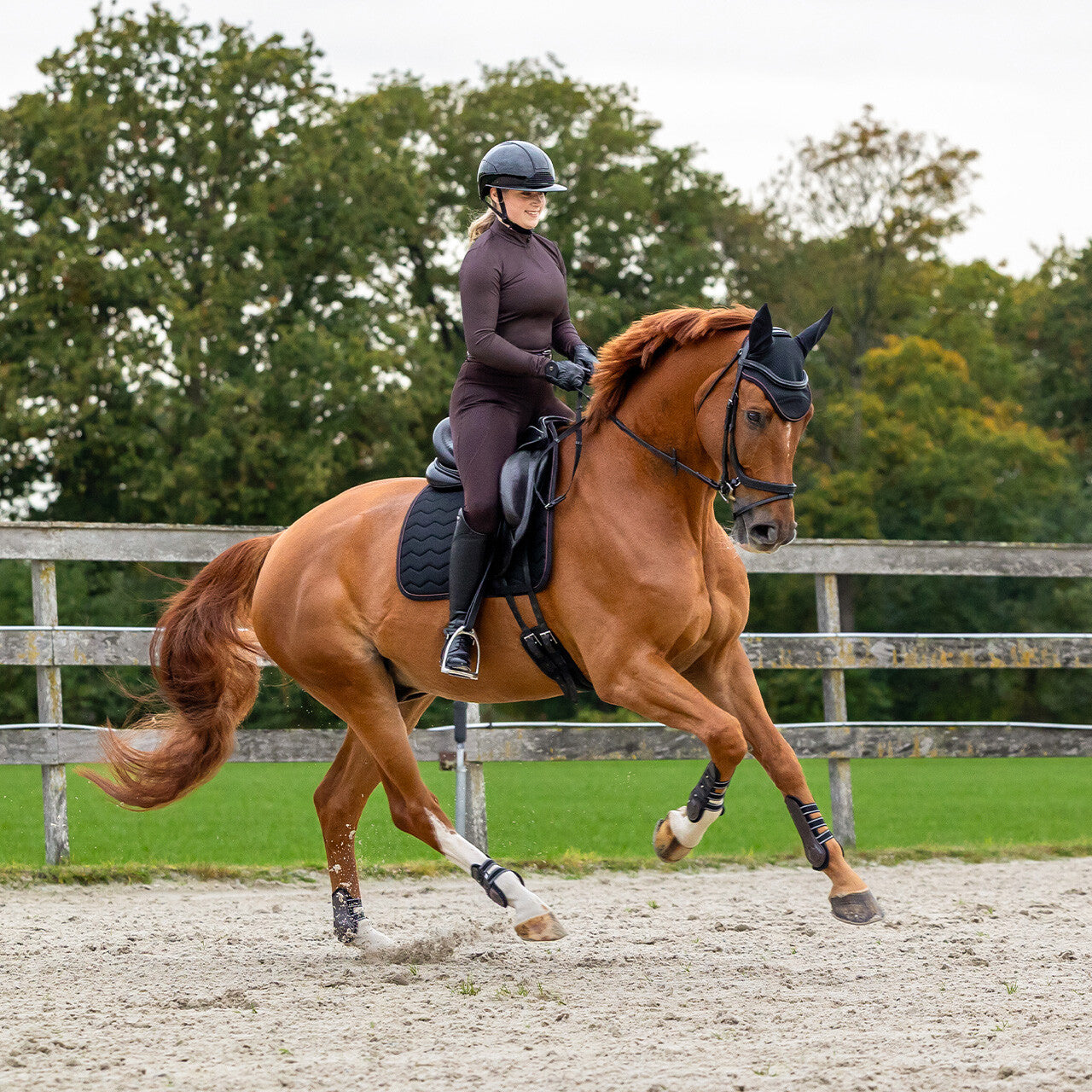 Avenna Riding Tights Full Grip