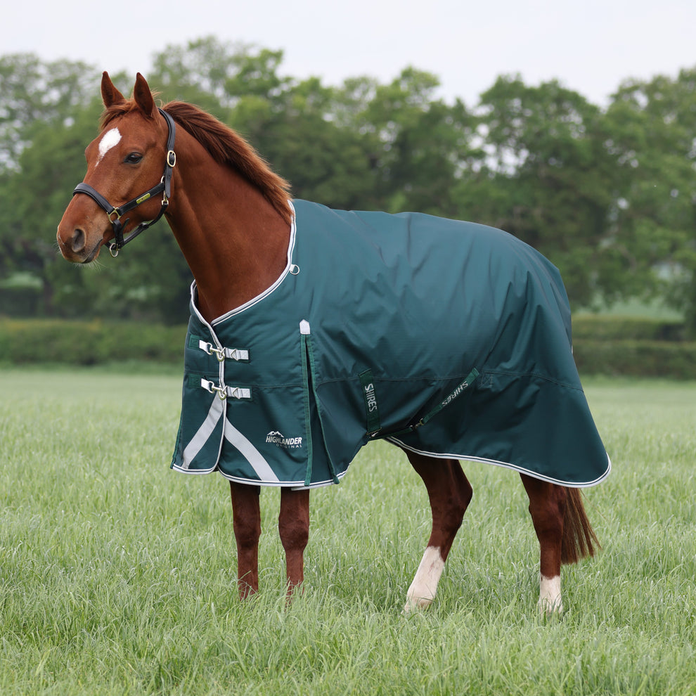 Highlander Original 300g Turnout Rug - Green