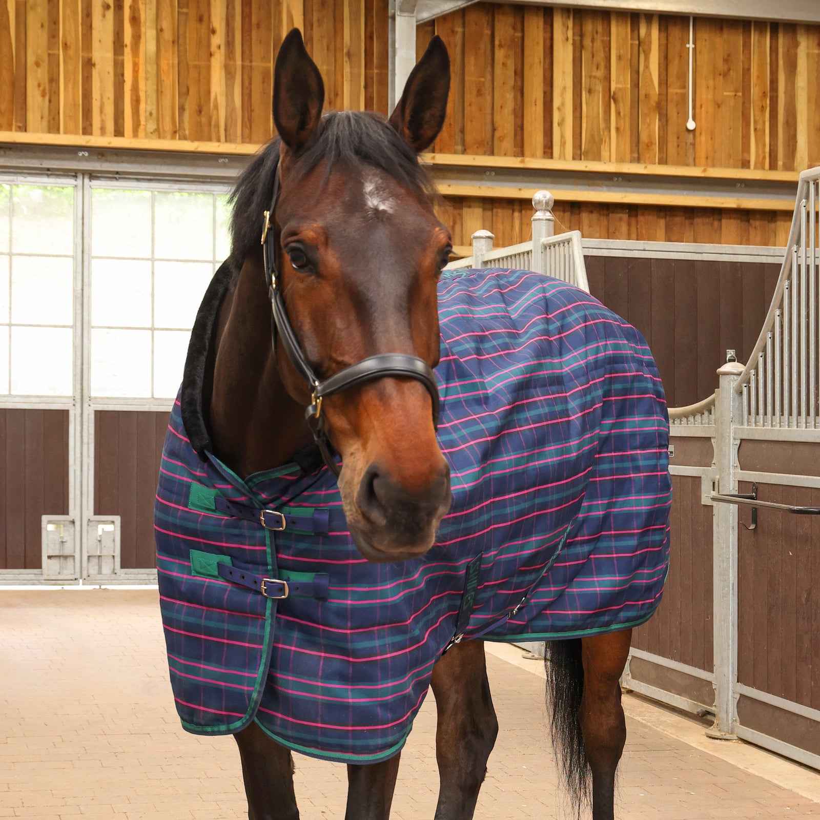 Tempest Plus 100 Stable Rug - Navy Tartan