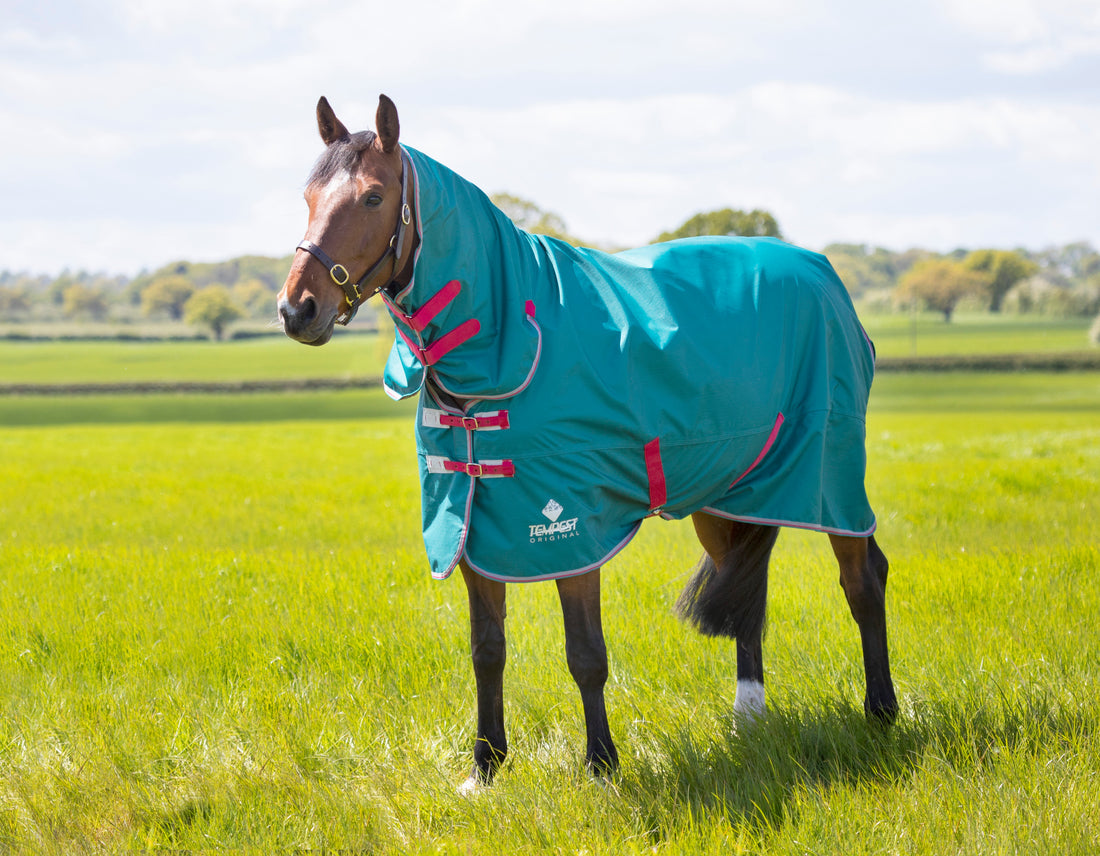 Tempest Original Air Motion Combo Turnout Rug - Green