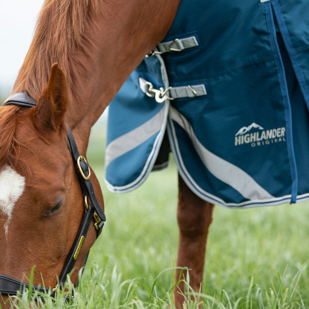 Highlander Original 50 Combo Turnout Rug -Ocean