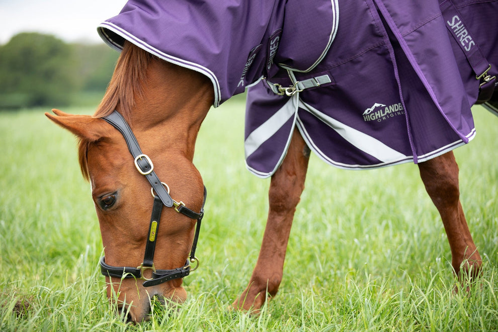 Highlander Original 100 Turnout Rug & Neck Set -Plum