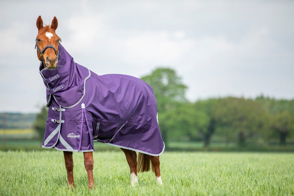 Highlander Original 100 Turnout Rug & Neck Set -Plum