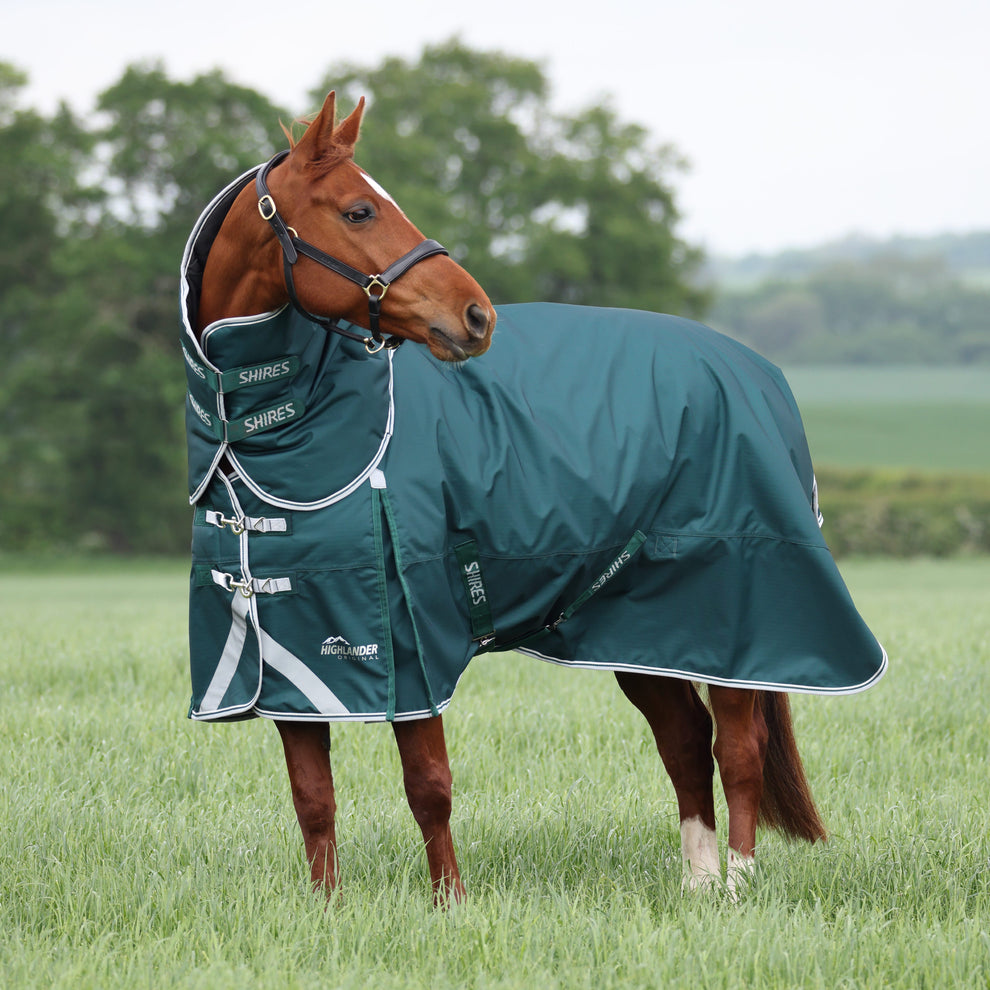 Highlander Original 300 Turnout Rug & Neck -Green