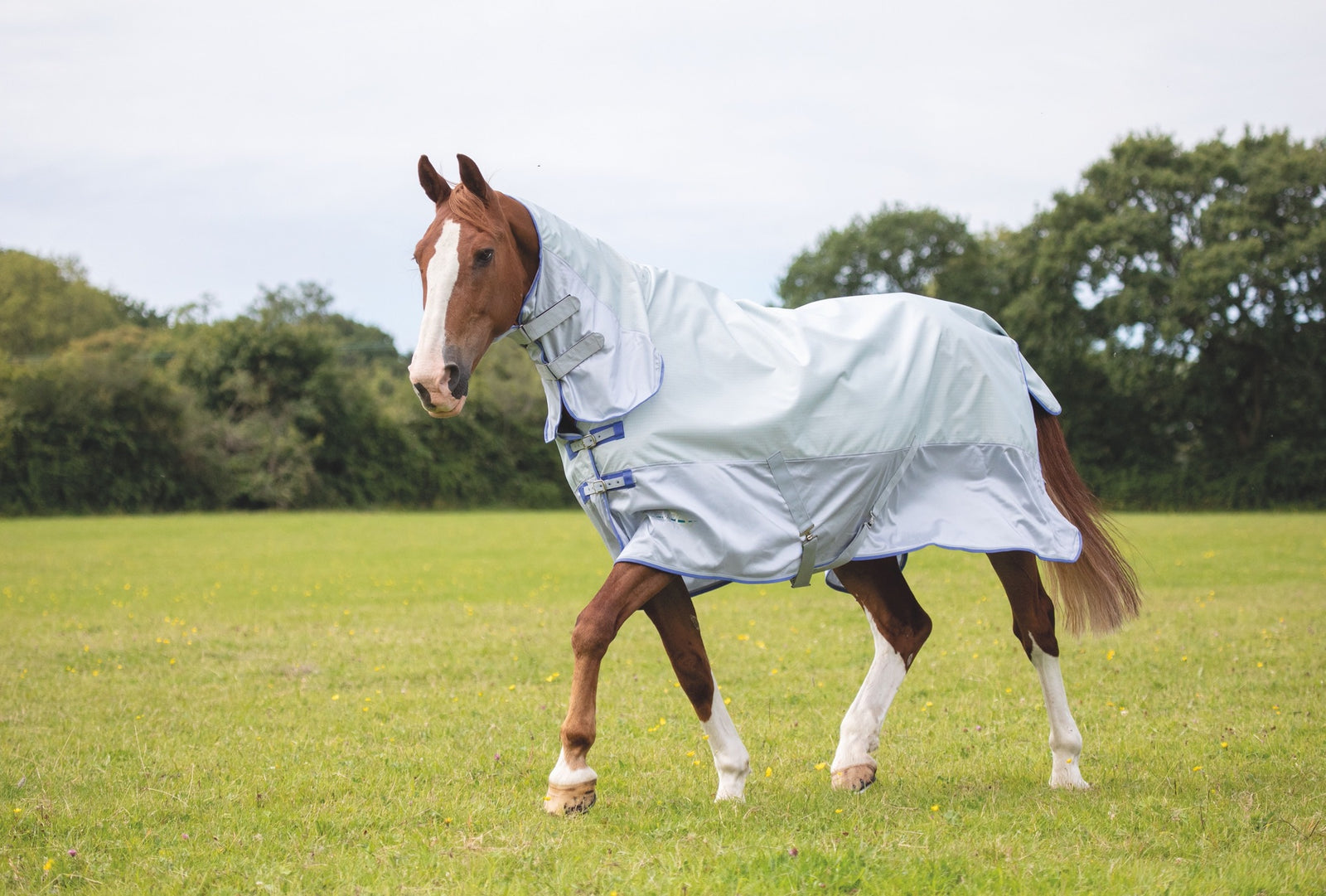 Tempest Original Waterproof Fly Rug