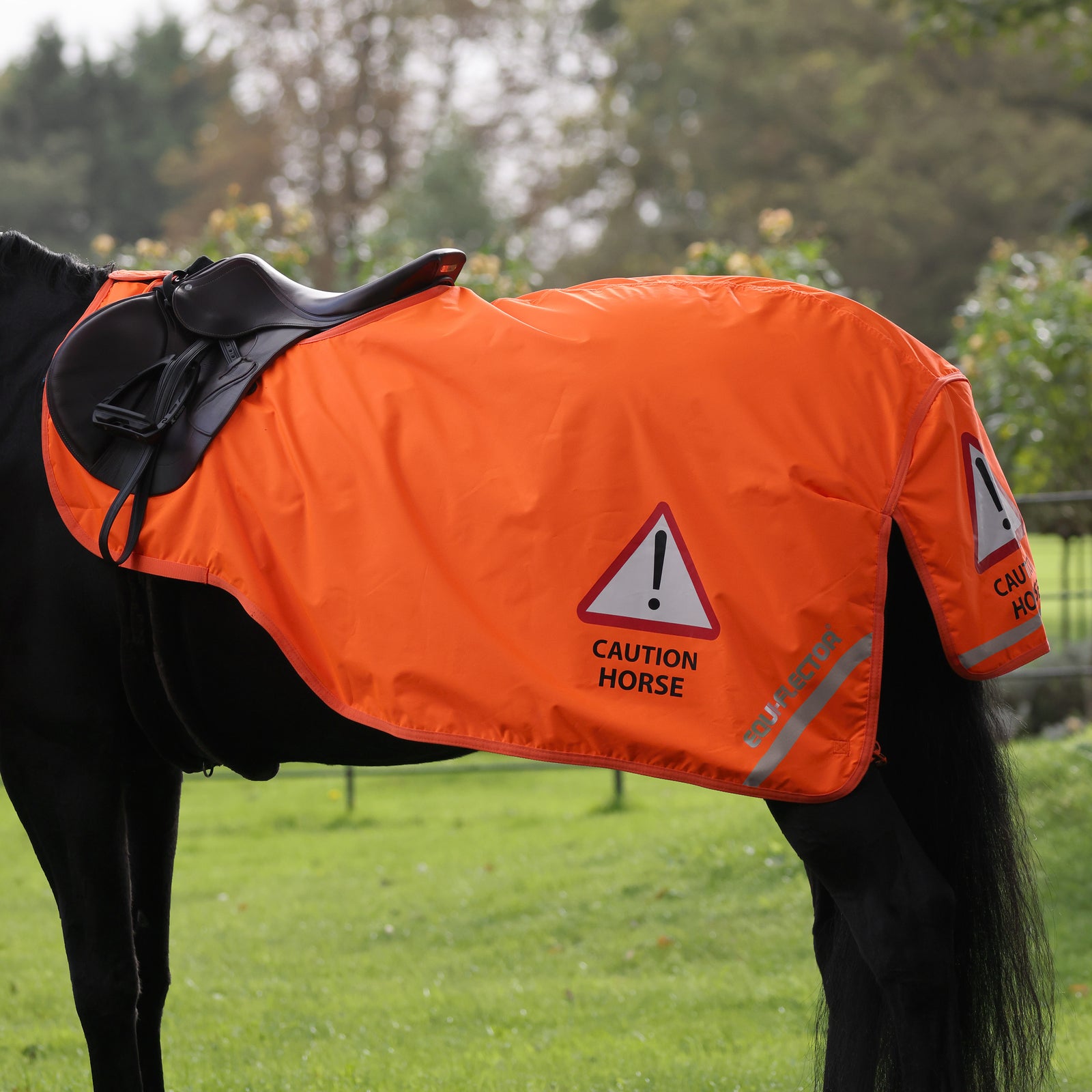 EQUI - FLECTOR Waterproof Exercise Sheet