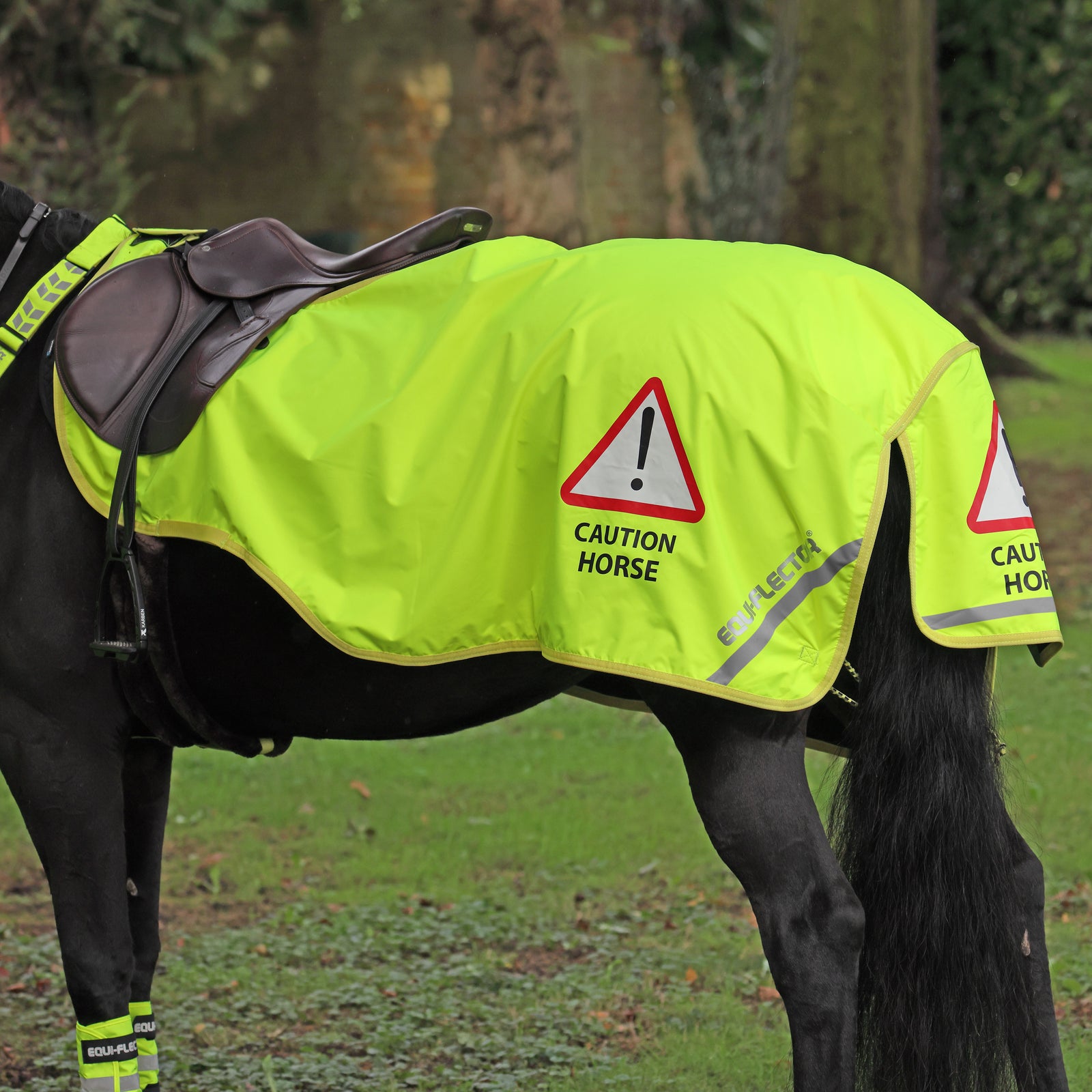 EQUI - FLECTOR Waterproof Exercise Sheet