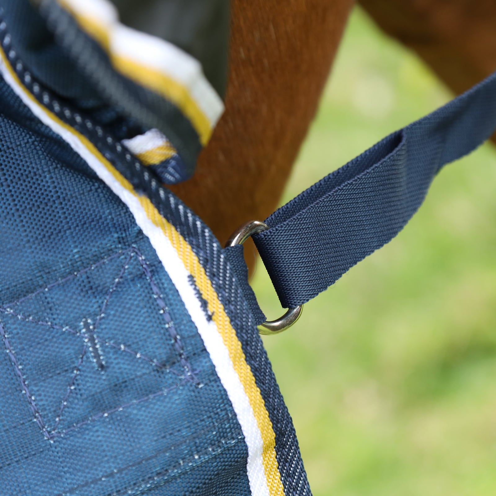 Highlander Plus Lite Turnout Rug - Navy