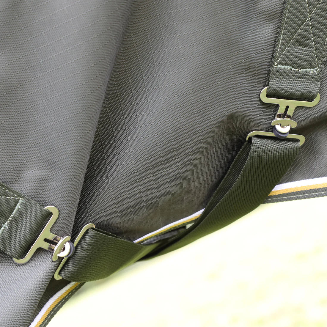 Highlander Plus 50g Turnout Rug - Green