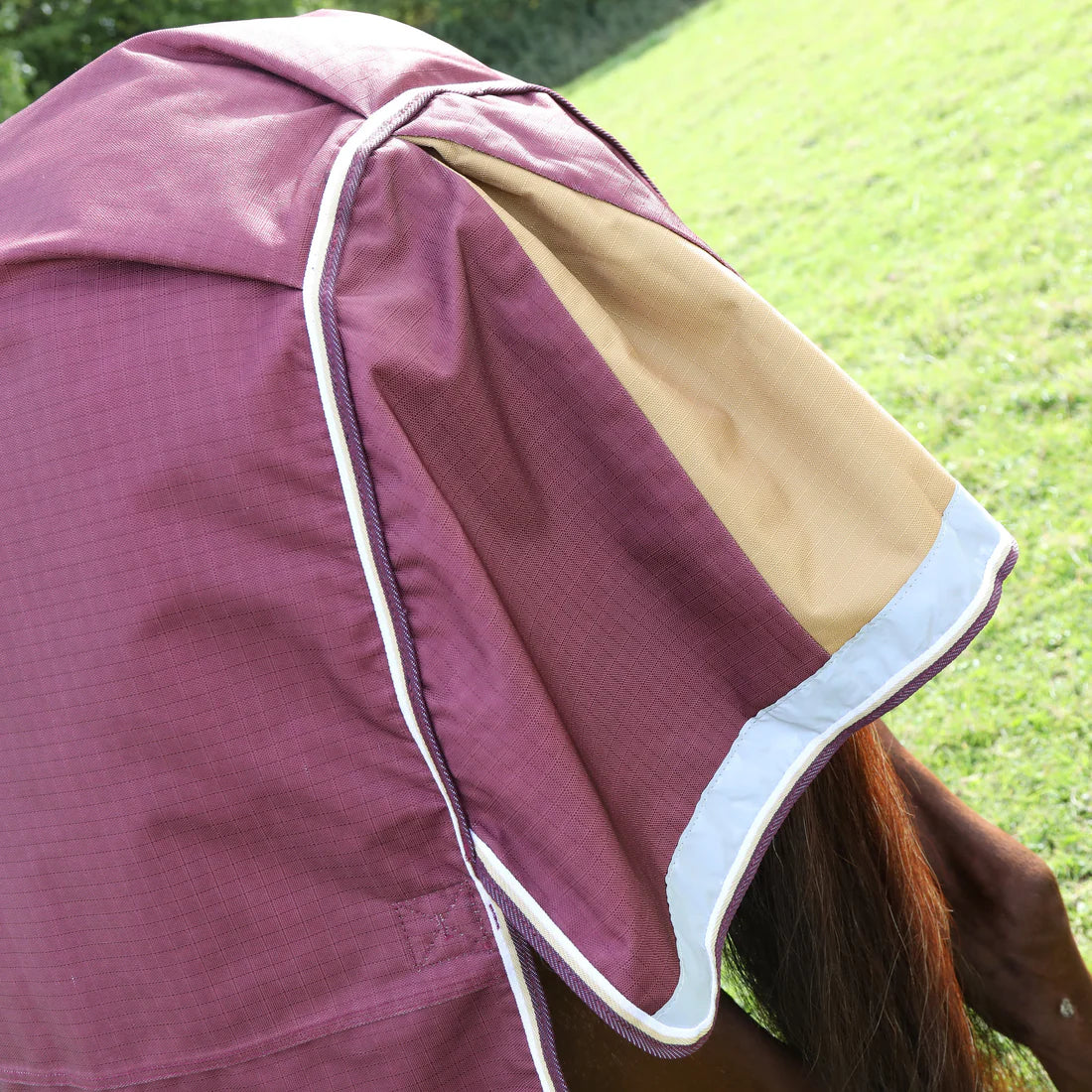 Highlander Plus 100g Turnout Rug - Maroon