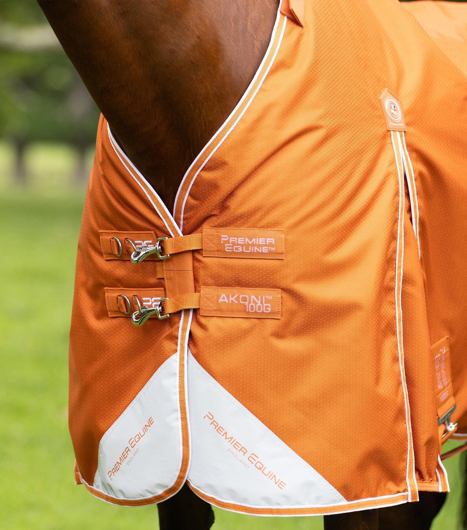 Premier Equine Akoni 100g Turnout Rug with Classic Neck Cover