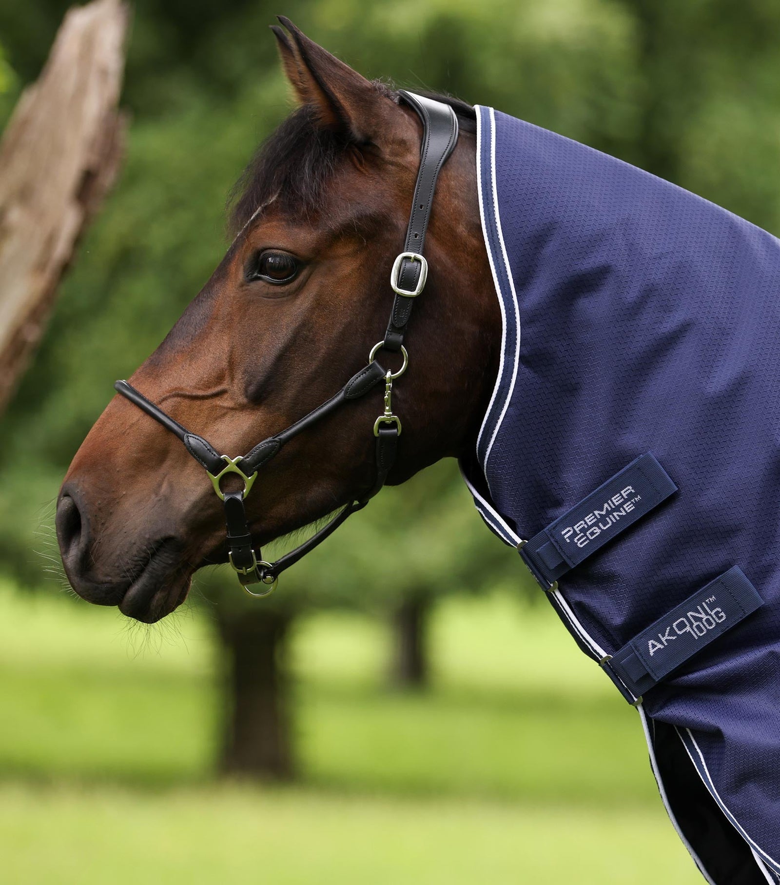 Premier Equine Akoni 100g Turnout Rug with Classic Neck Cover
