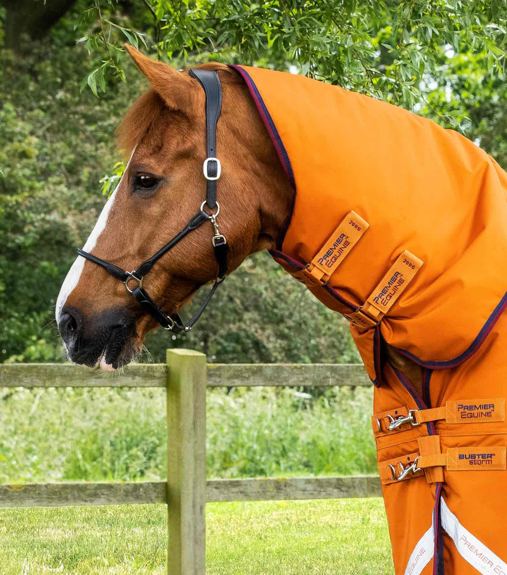 Premier Equine Buster Storm 200g Combo Turnout Rug with Classic Neck Cover - Burnt Orange