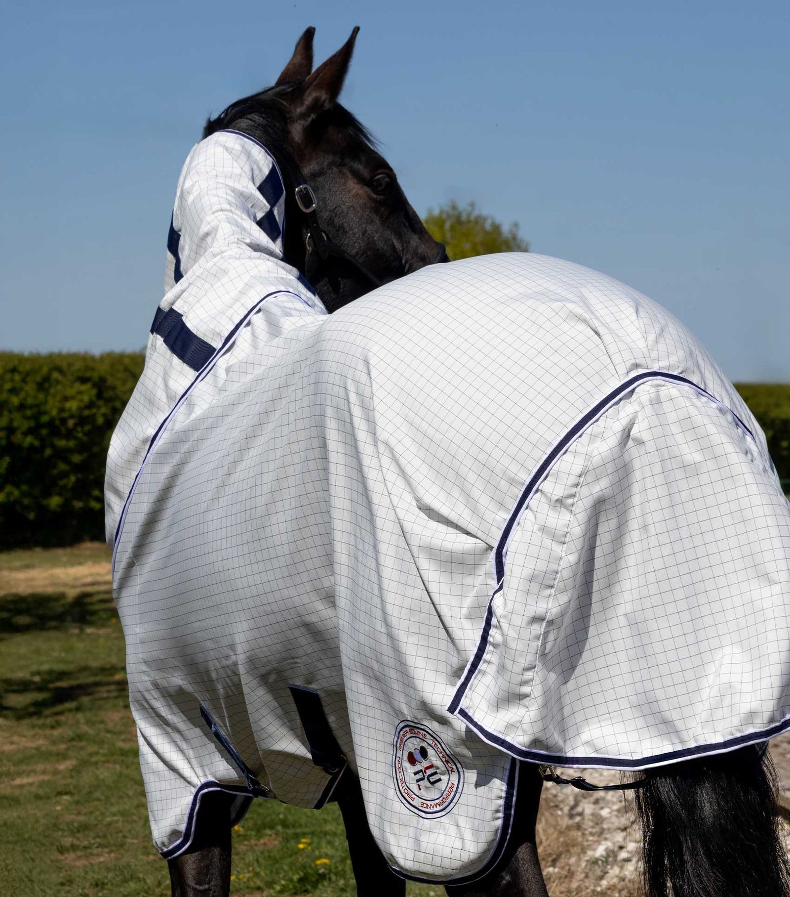 Premier Equine Cotone Stable Sheet with Neck Cover- White-Navy Check