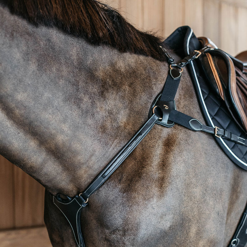 Dyon Collection 5 Point Elastic Breastplate