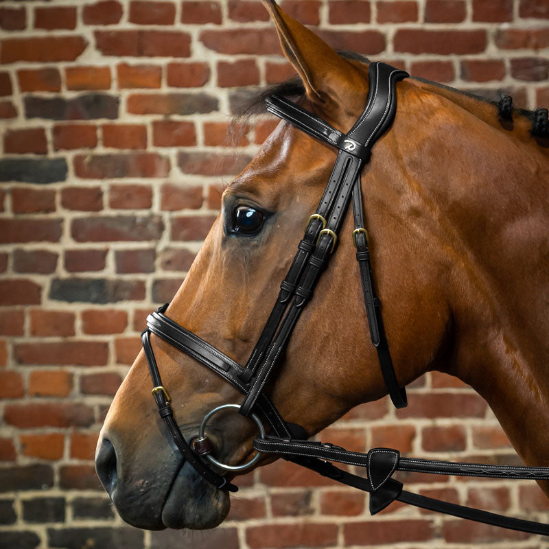 Dyon Collection Flash Noseband Bridle