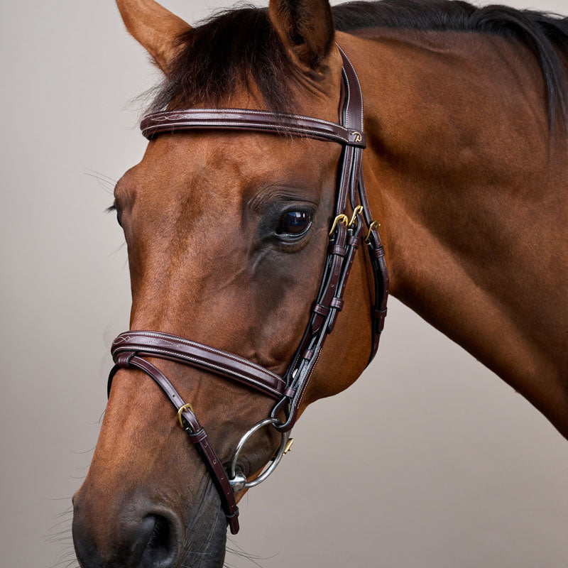 Dy’on Flash Noseband Bridle