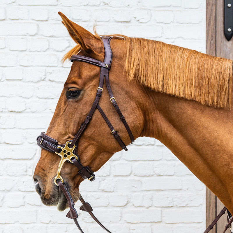 Dy’on Hackamore Noseband