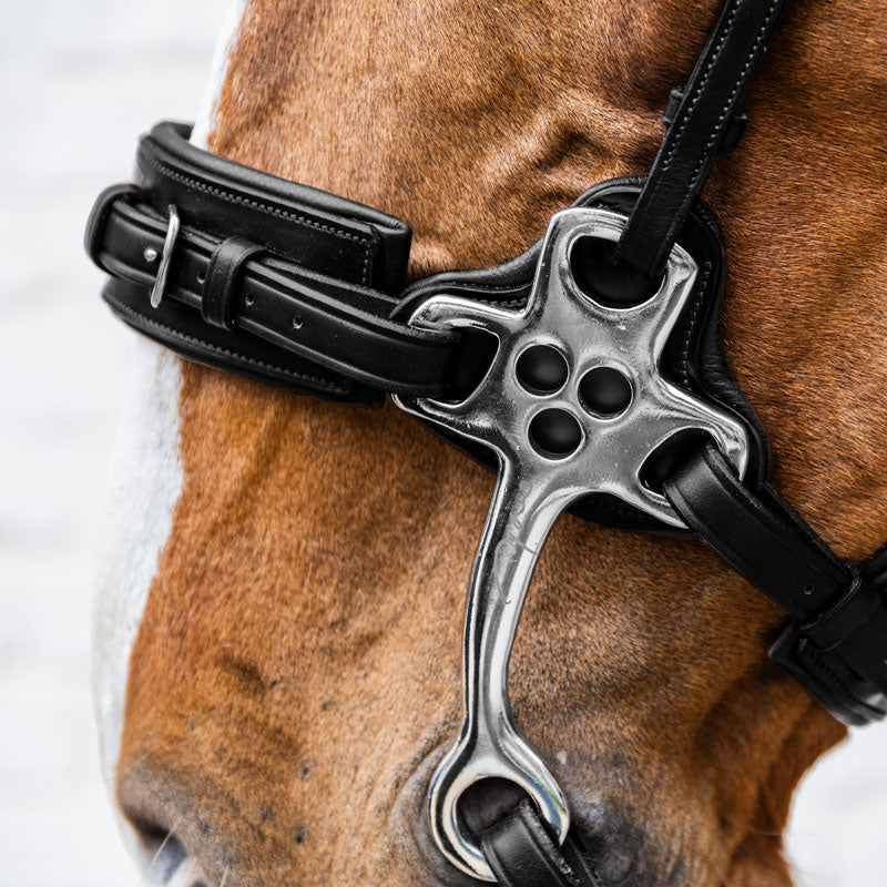 Dy’on New English Hackamore Noseband