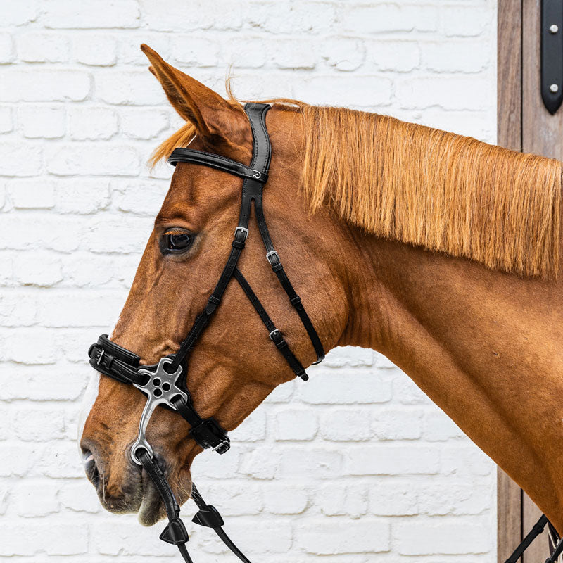 Dy’on New English Hackamore Noseband
