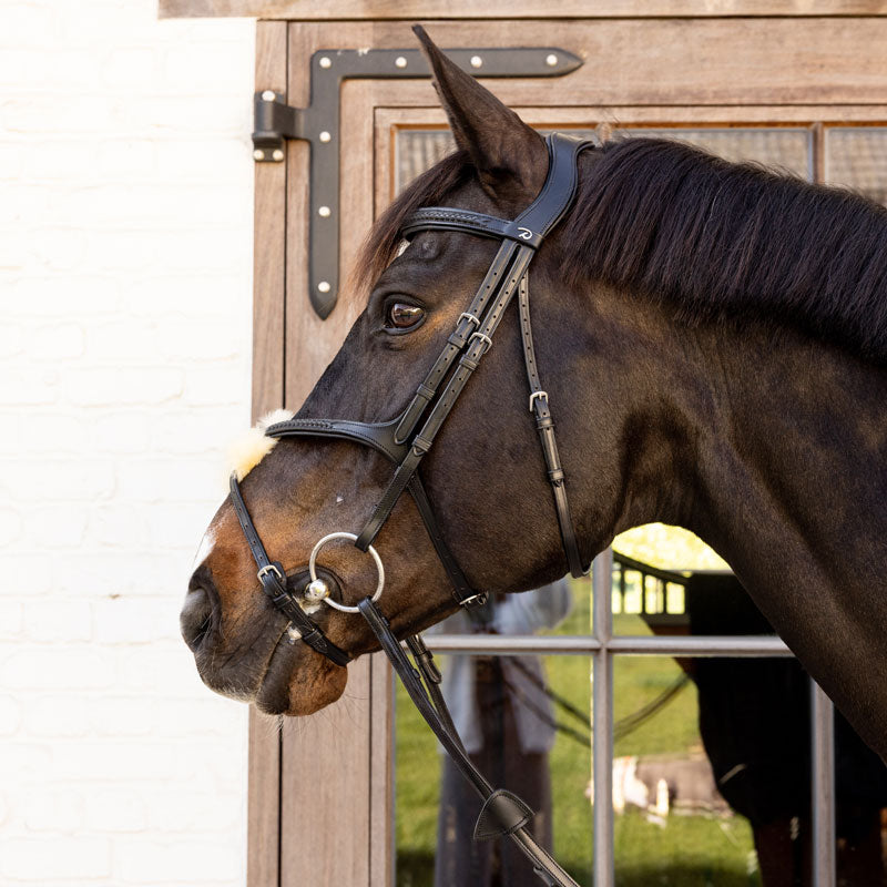 Dy'on New English Plaited Fig 8 Bridle