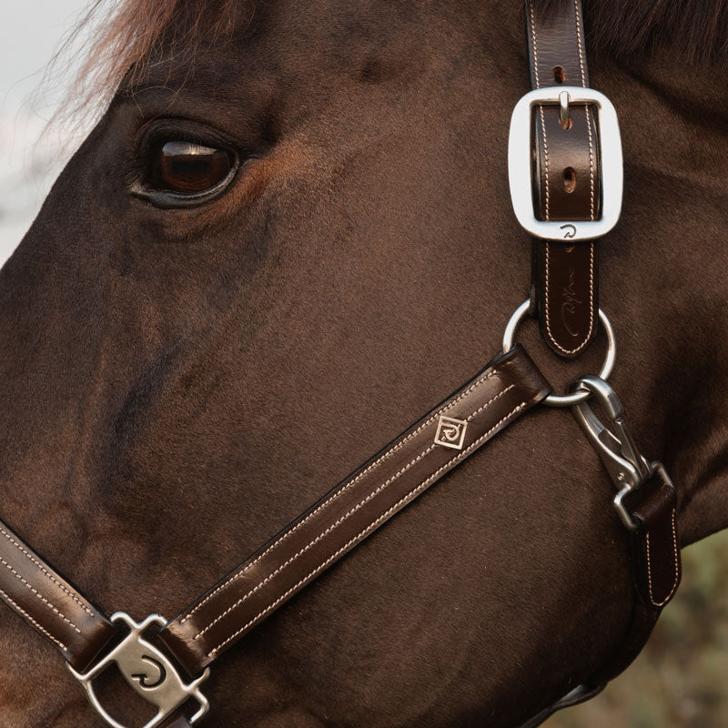 Dy’on US Halter