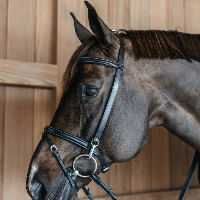 Dyon Working Collection Training Bridle