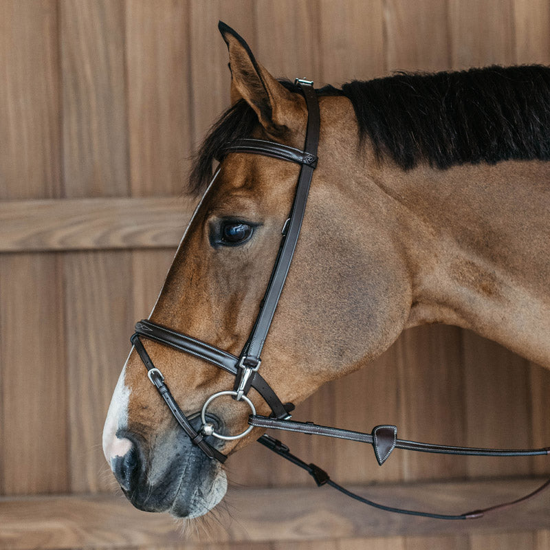 Dyon Working Collection Training Bridle