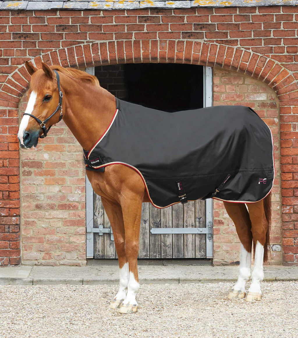 Premier Equine Horse Walker Rug 100g - Black