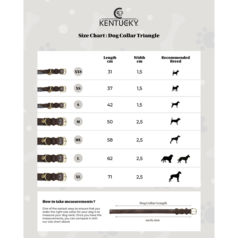 Kentucky Dogwear Collar Triangle