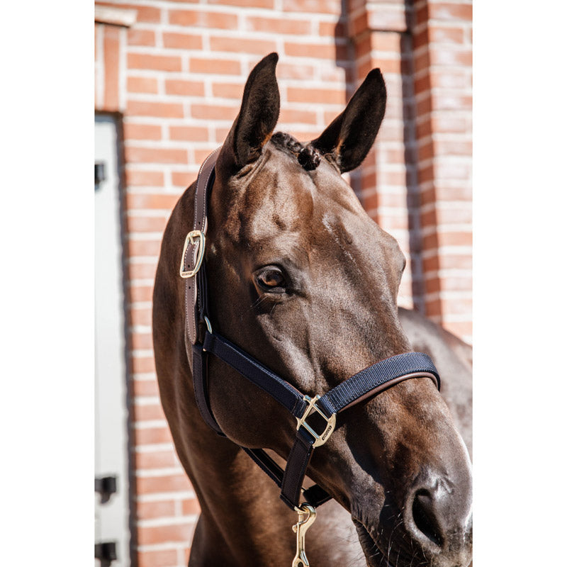 Kentucky Anatomic Nylon Headcollar
