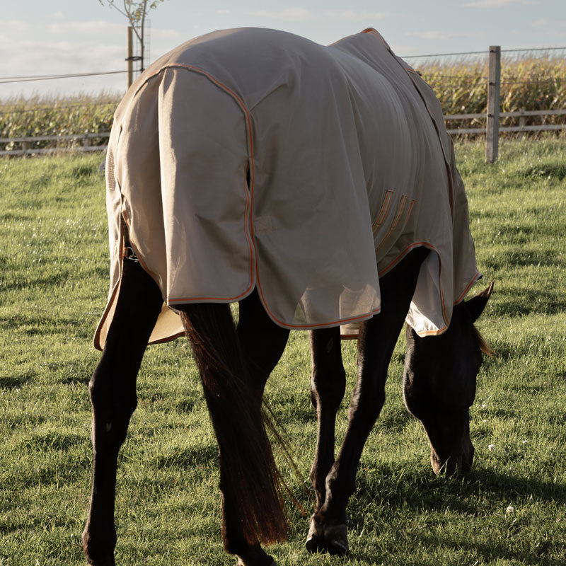 Kentucky Mesh Fly Rug Comfort