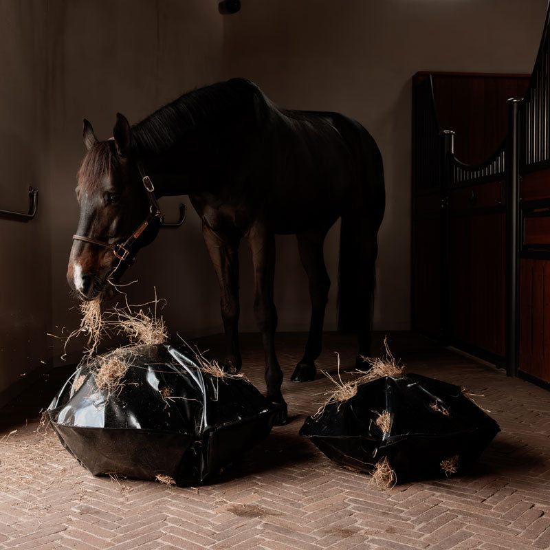 Kentucky Play & Haybag Slowfeeder Round