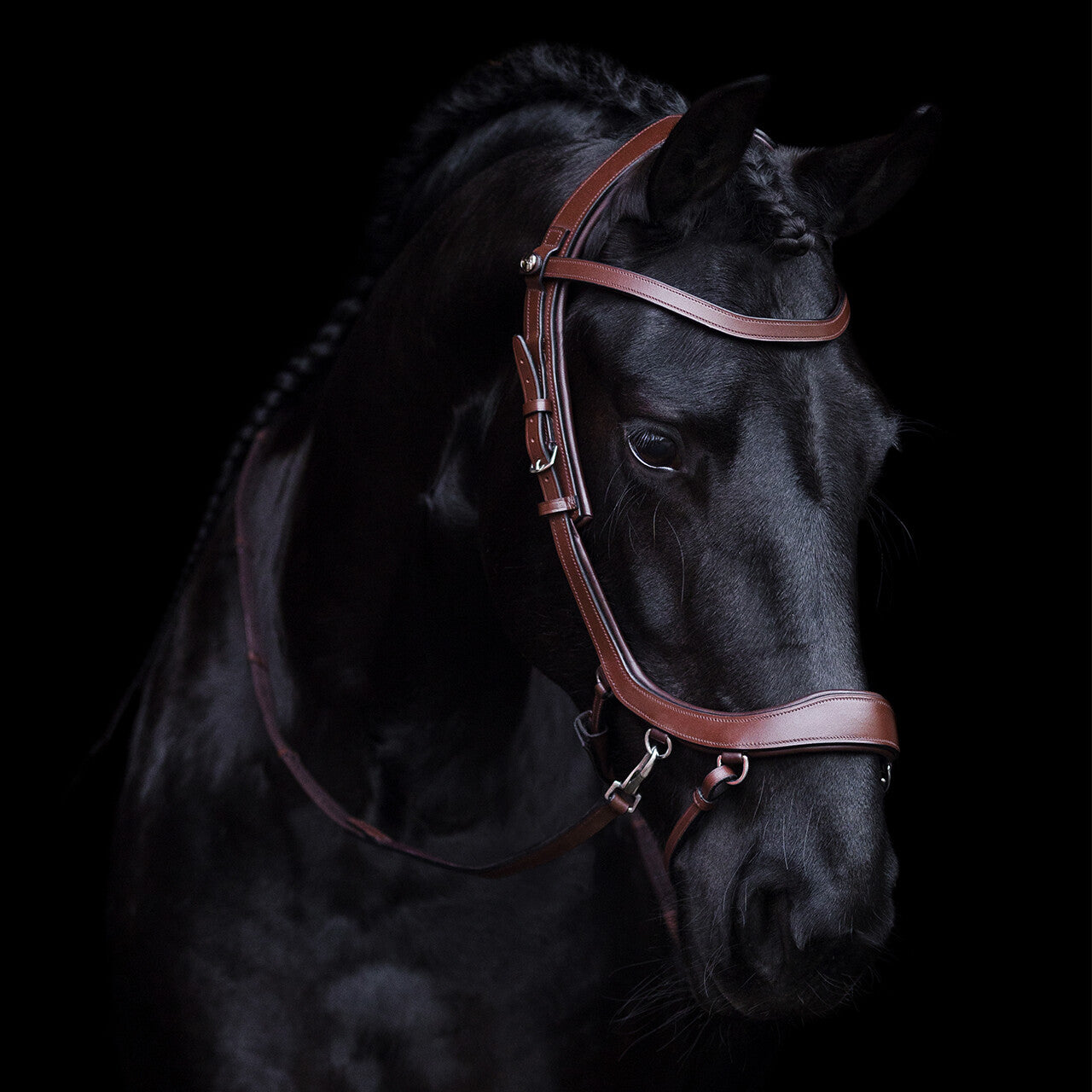 PresTeq FaySport Bitless Bridle