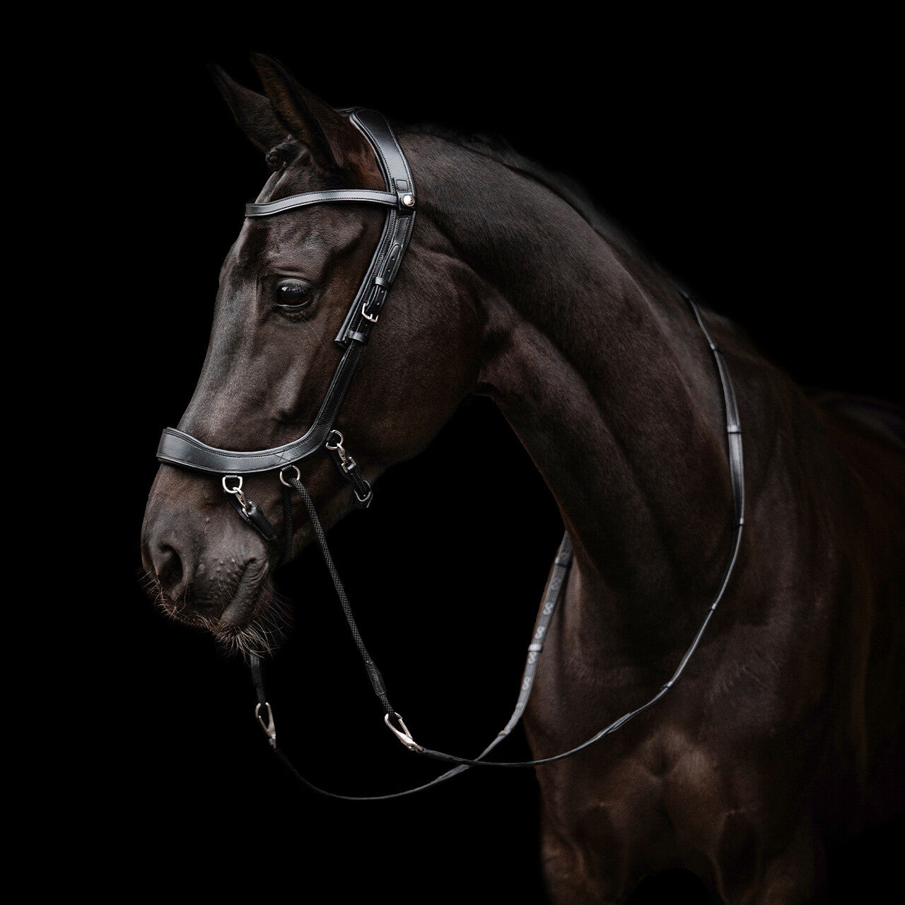 PresTeq FaySport Bitless Bridle
