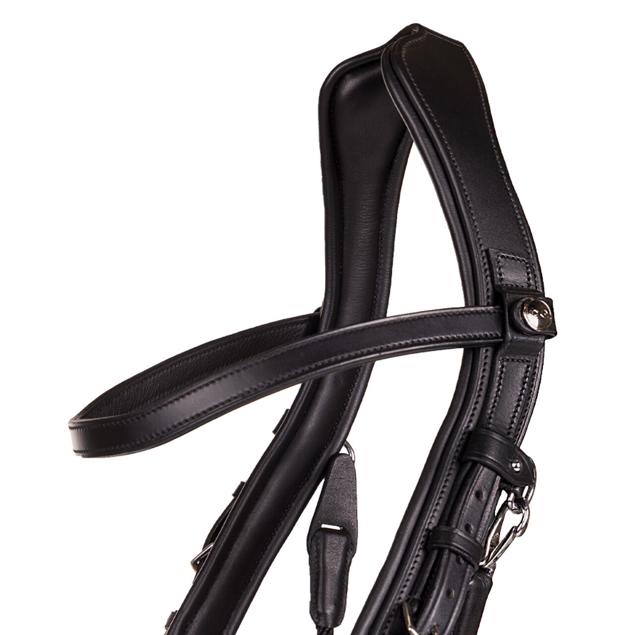 PresTeq FaySport Bitless Bridle