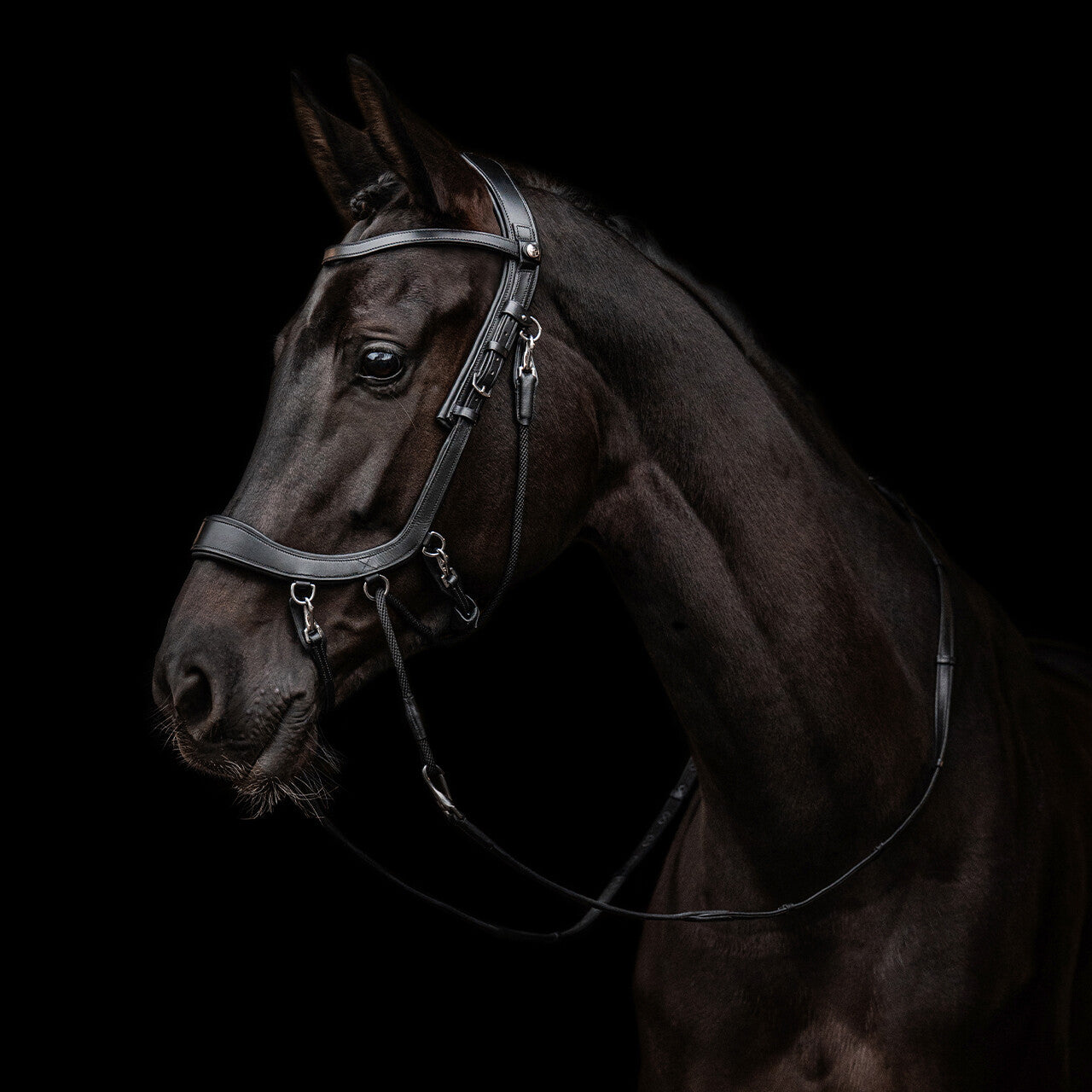 PresTeq FaySport Bitless Bridle
