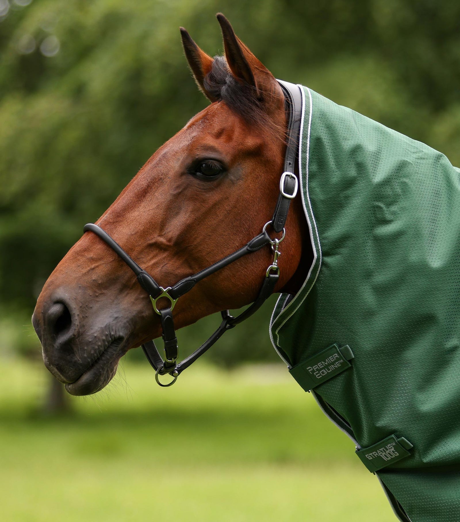 Premier Equine Stratus 600D Series 100g Turnout Rug with Classic Neck Cover