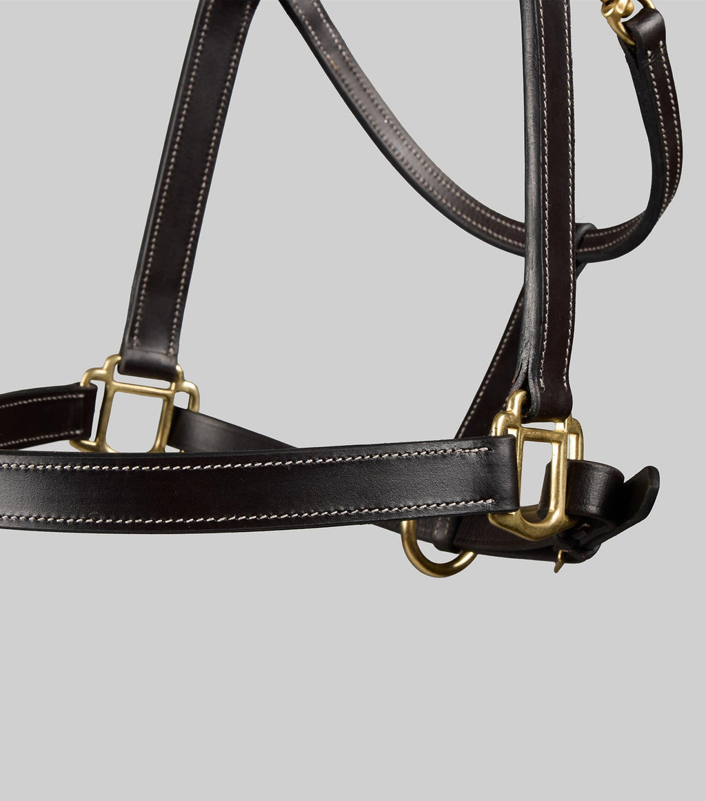 Premier Equine Traditional Leather Headcollar