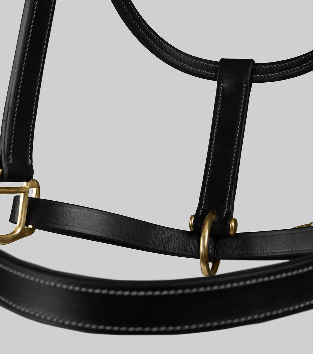Premier Equine Traditional Leather Headcollar