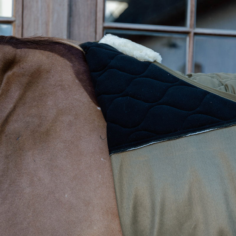 Kentucky Transport Combo Cooler Fleece Rug