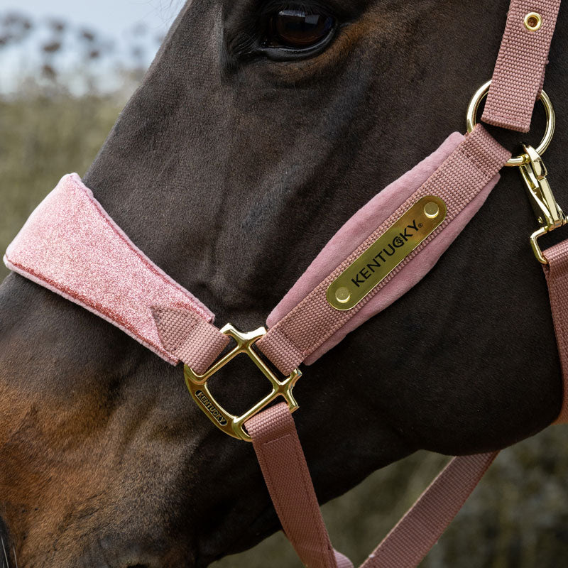 Kentucky Velvet Halter Unicorn Glitter